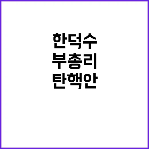 탄핵안 처리 한덕수 부총리에게 긴급 지시!