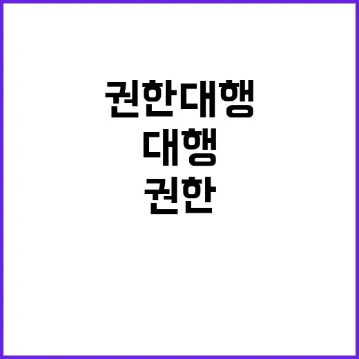 권한 대행 아노미 상황에서의 출구는 어디?