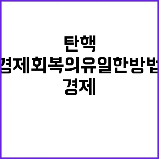 탄핵심판 신속한 경제 회복의 유일한 방법!