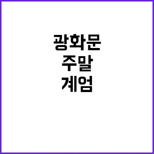 계엄 광화문 두 갈래로 나누어진 주말 이야기!