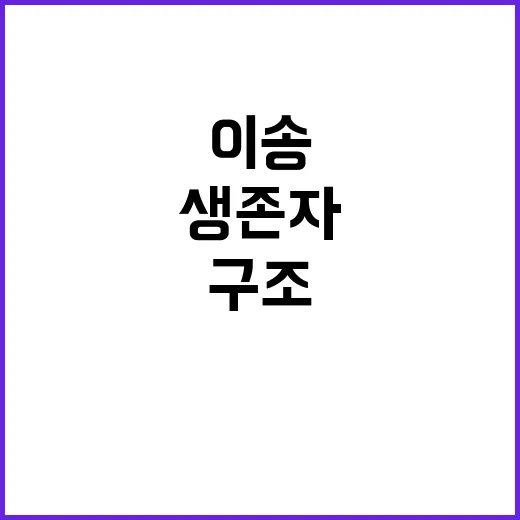 생존자 이송 완료 깨어나 보니 구조됐다!