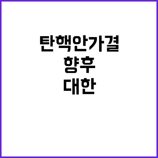 탄핵안 가결 향후 변화에 대한 긴급 분석