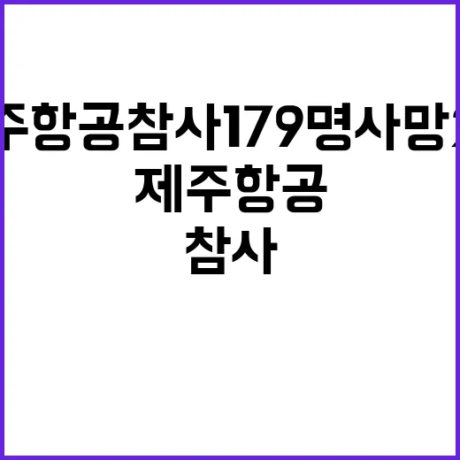 제주항공 참사 179명 사망 2명 구출 성공!