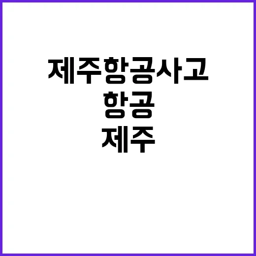 제주항공 사고 생생한 당시 상황 공개법!