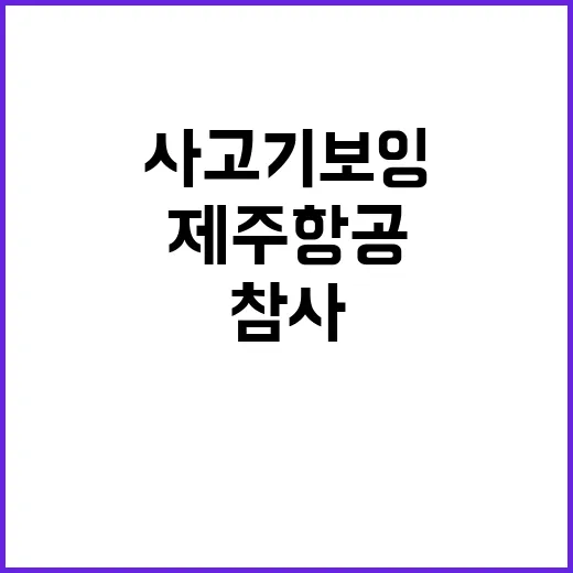 제주항공 참사 사고기 보잉 737800 확인!