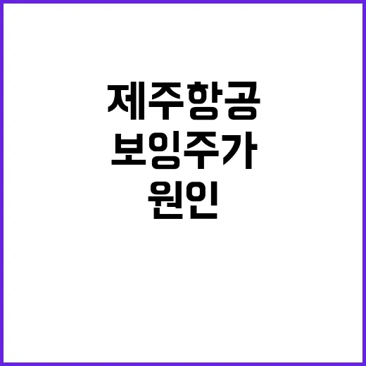 보잉 주가 급락 제주항공 참사 원인?