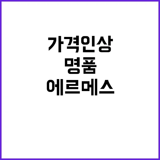 명품 가격 인상! 에르메스 평균 10% 상승 확정!