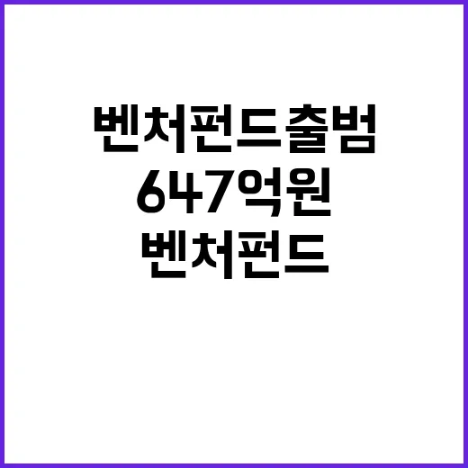 벤처펀드 출범 647억 원의 새로운 기회!