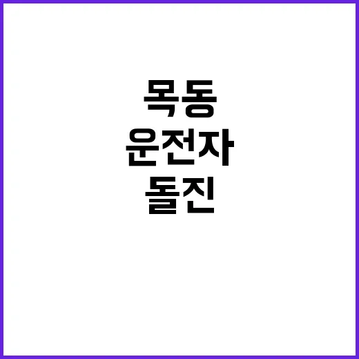 사망 사건 74세 운전자 목동 골목 돌진!