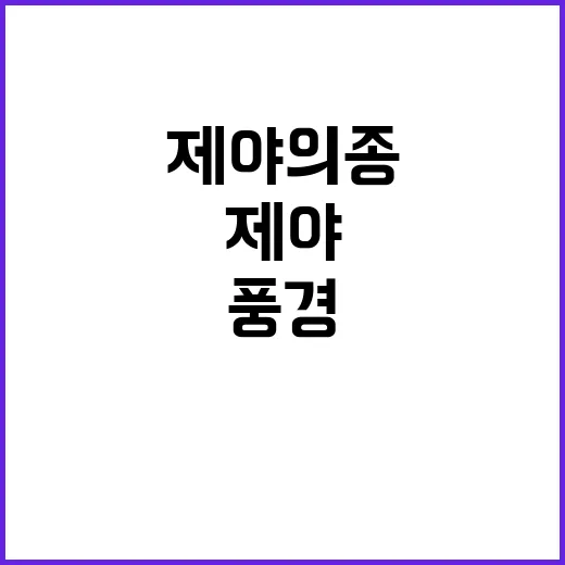 제야의 종 울리며 떠들썩한 관저 앞 풍경!