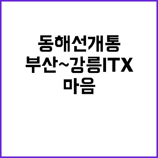 동해선 개통 부산~강릉 ITX마음 본격 운행!