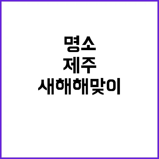 새해 해맞이 제주 명소에서 시작하는 좋은 일