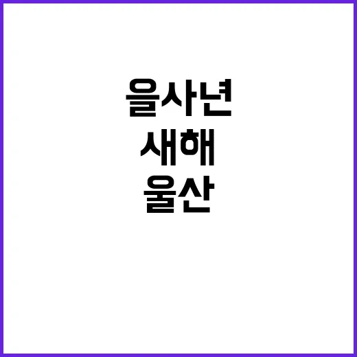 을사년 추모…울산 시민들 새해 맞이