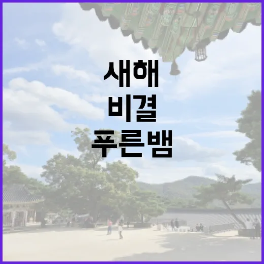 푸른 뱀 새해 건강 비결 공개합니다!