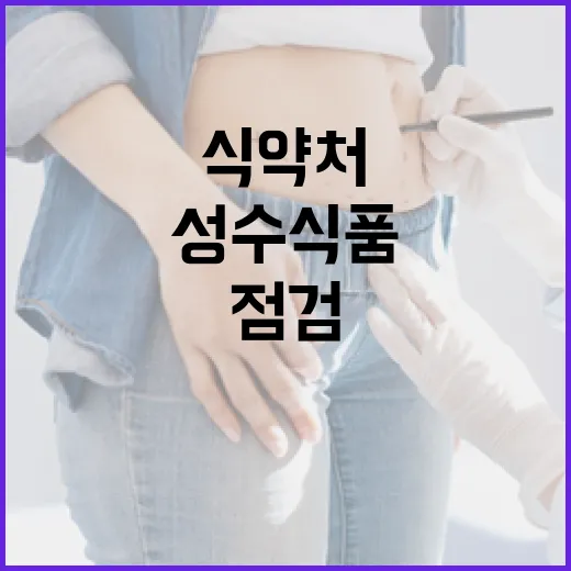 식약처 성수식품 점검 결과 공개! 당신의 안전?