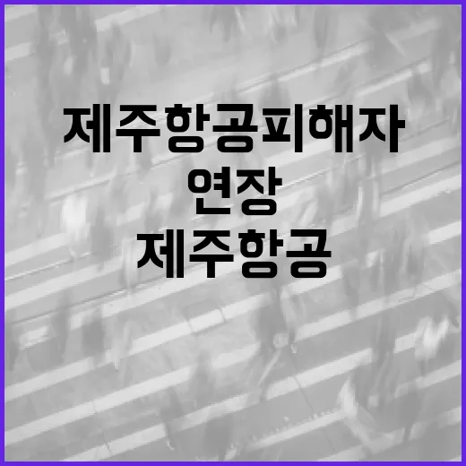 국세 납기 연장 제주항공 피해자 지원 시작!