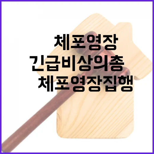 尹 체포영장 집행 긴급 비상의총 소집 이유 공개!