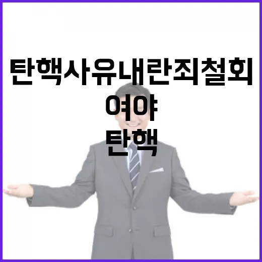 탄핵사유 내란죄 철회 여야 격돌의 진실은?