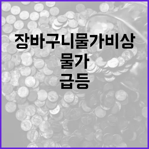 배추 가격 급등 장바구니 물가 비상 경고!