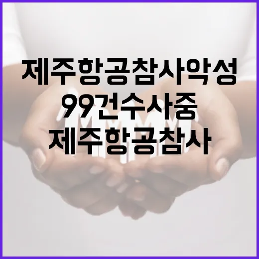 경찰 제주항공 참사 악성 댓글 99건 수사 중!