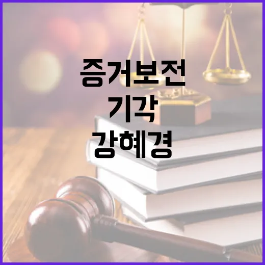 증거보전 기각...강혜경의 충격 발언 내용 공개!