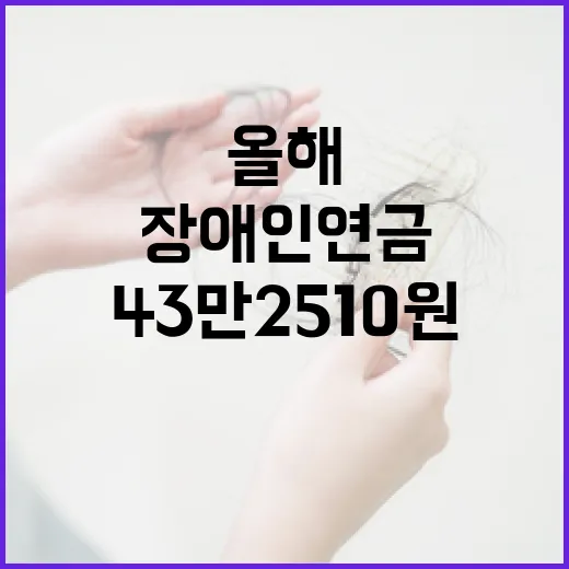 장애인연금 인상 올해 43만 2510원 확정!