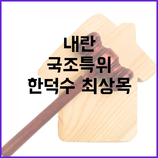 내란 국조특위 한덕수·최상목 증인 채택 폭풍 예고!