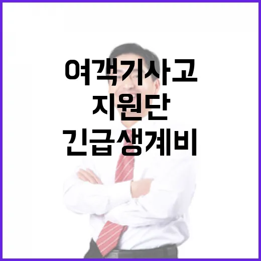 여객기 사고 지원단 긴급 생계비 지급 결정!