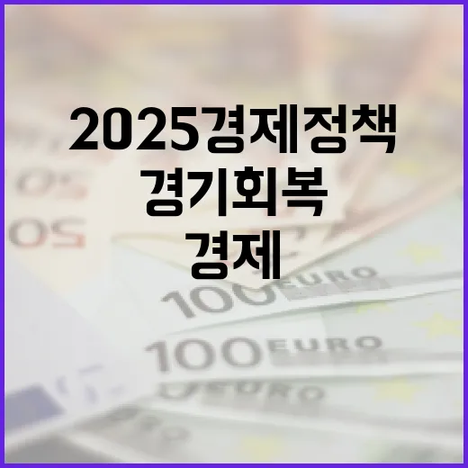 경기 회복 2025 경제 정책의 핵심은?