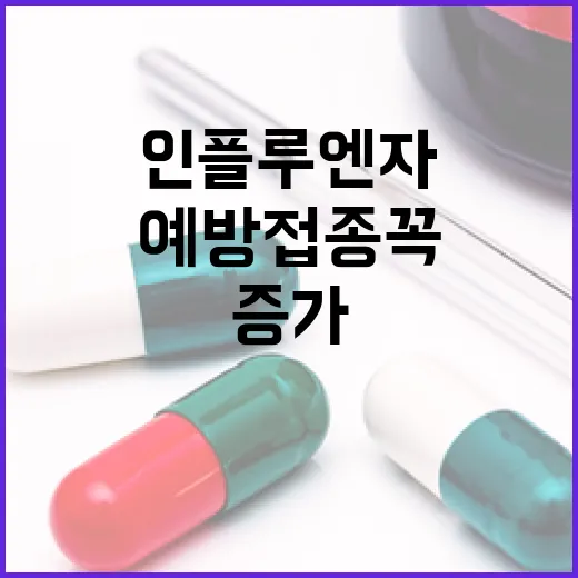 인플루엔자 증가 예방접종 꼭 필요하다!