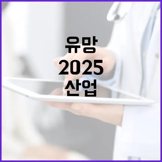 2025 유망 산업 최고의 6개 섹터 공개!