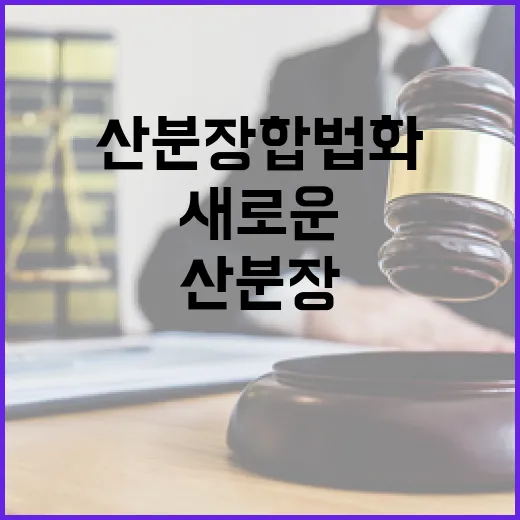 산분장 합법화 유골 처리 새로운 방법 등장!