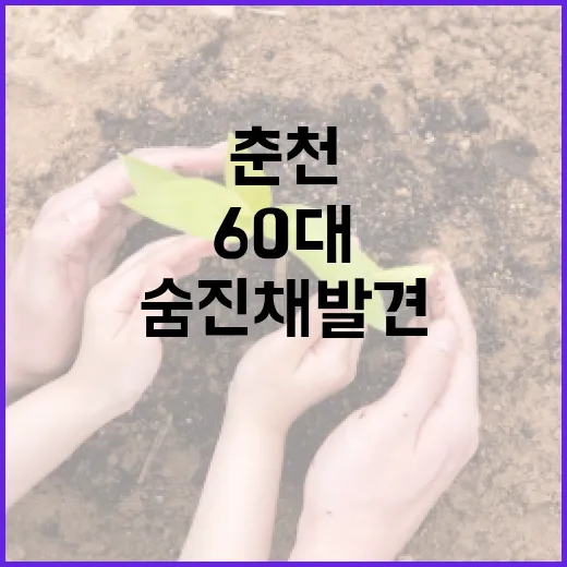 60대 용의자 춘천서 숨진 채 발견됐다!