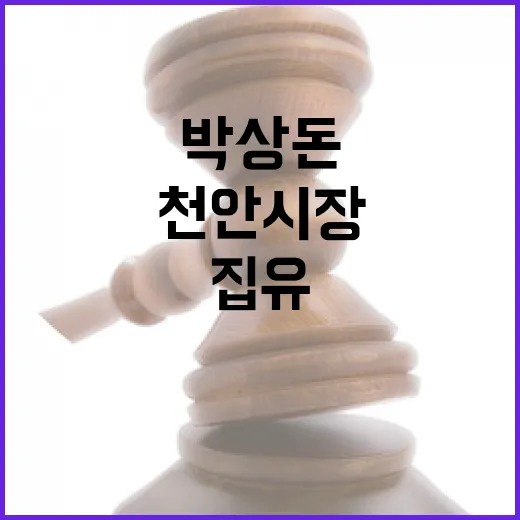 박상돈 집유 천안시장 당선 무효 위기!