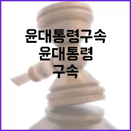 법원 윤대통령 구속여부 결과 새벽 공개 예정!