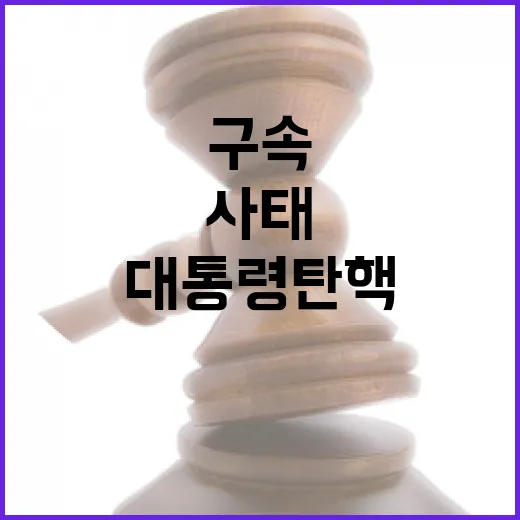 구속 대통령 탄핵 준비와 폭력 사태의 진실!