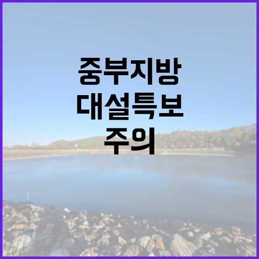 대설 특보! 중부지방 눈보라에 주의하세요.