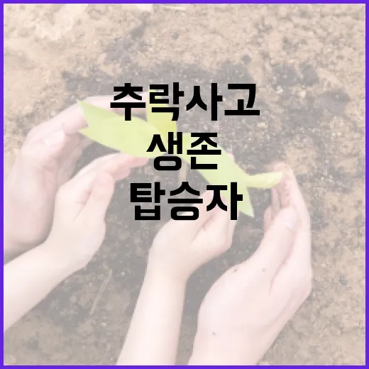 항공기 추락 사고 탑승자 전원 생존의 미스터리!