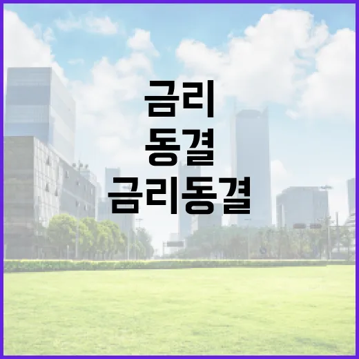 미 금리 동결 대외 불확실성 점검 필수!