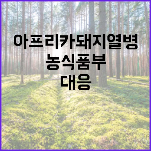 아프리카돼지열병 발생…농식품부의 긴급 대응 나서!