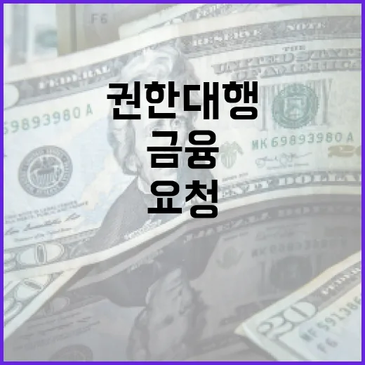 금융 점검체계 24시간 이행 필수 권한대행 요청!