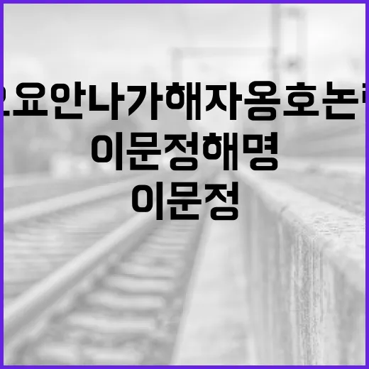 이문정 해명 오요안나 가해자 옹호 논란 진실!