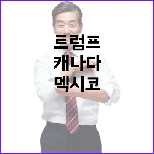 트럼프의 결정 캐나다와 멕시코의 반격 시작!