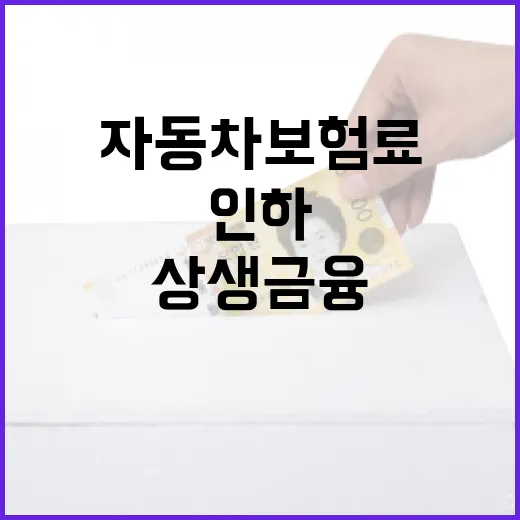 자동차보험료 인하 상생금융의 진실은 무엇?