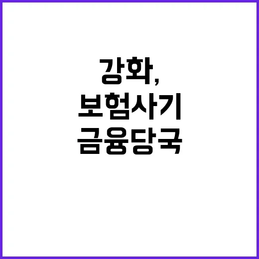 보험사기 조사권 강화, 금융당국의 충격적 발표!