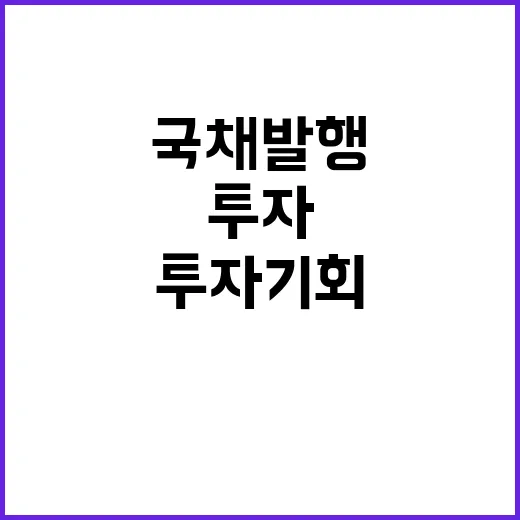 국채 발행, 투자 …