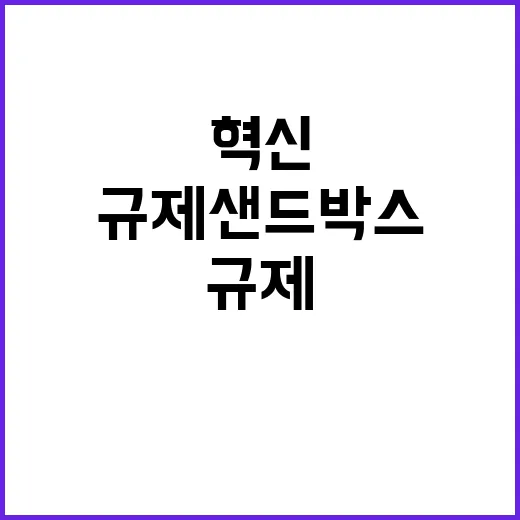 규제샌드박스, 심의…