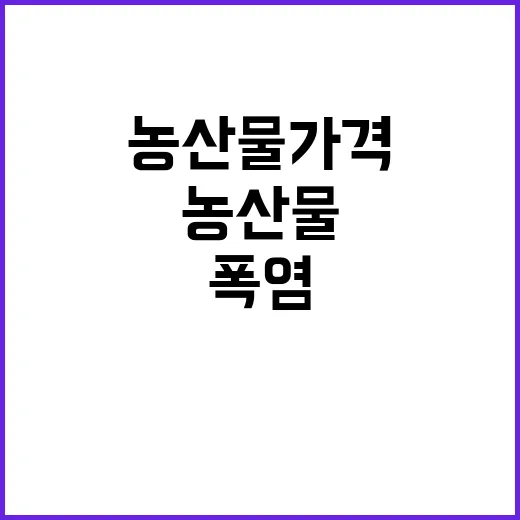 ‘폭염’ 농산물 가격 치솟지 않는 이유 공개!