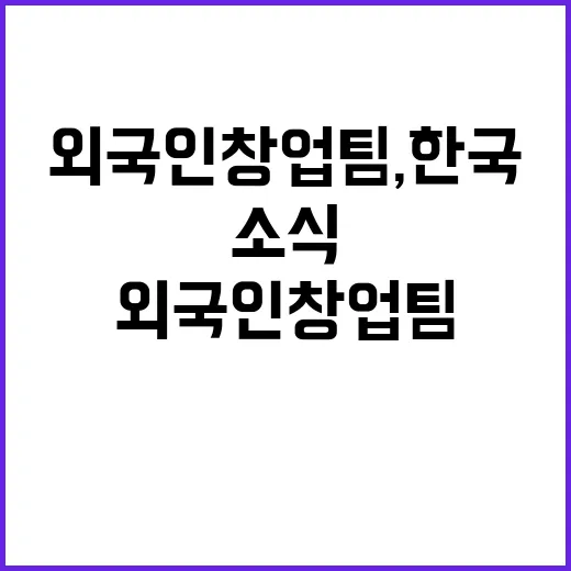 외국인 창업팀, 한국 정착 지원 소식 공개!