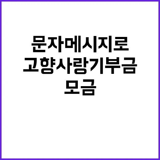 고향사랑기부금, 문…